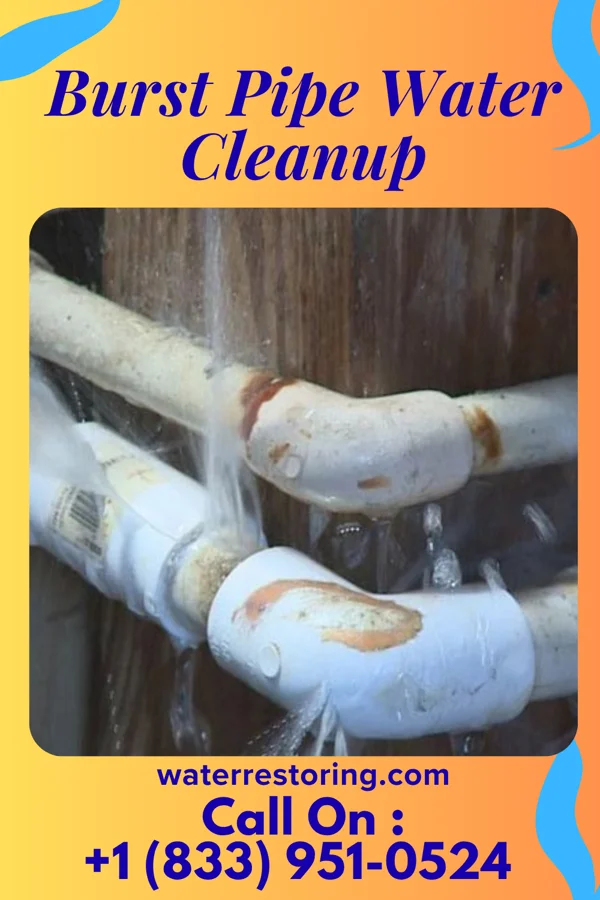 Burst Pipe Water Cleanup in Sun Valley, PA