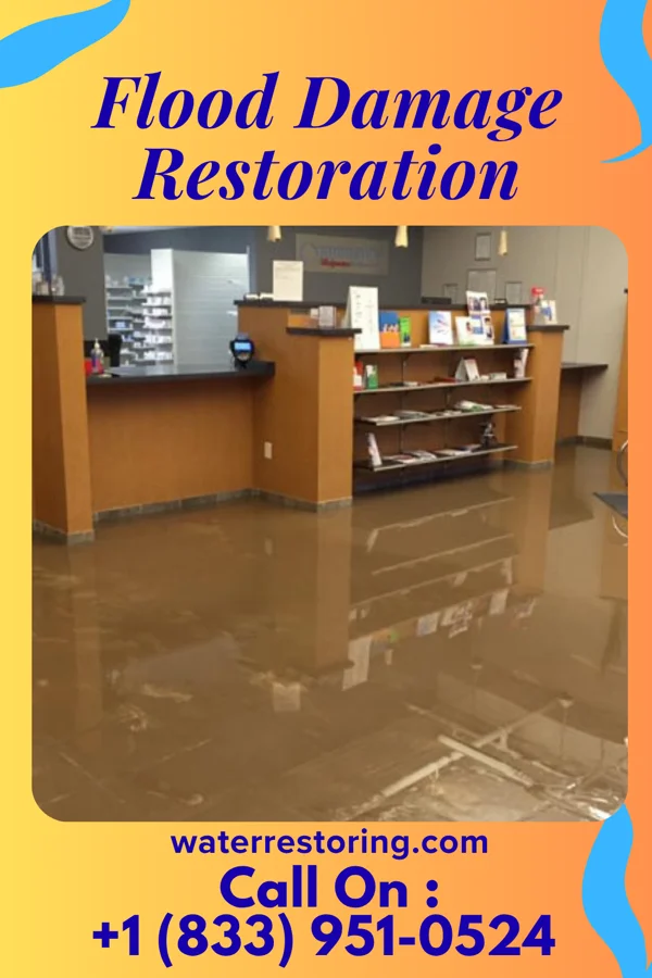 Flood Damage Restoration in Sun Valley, PA