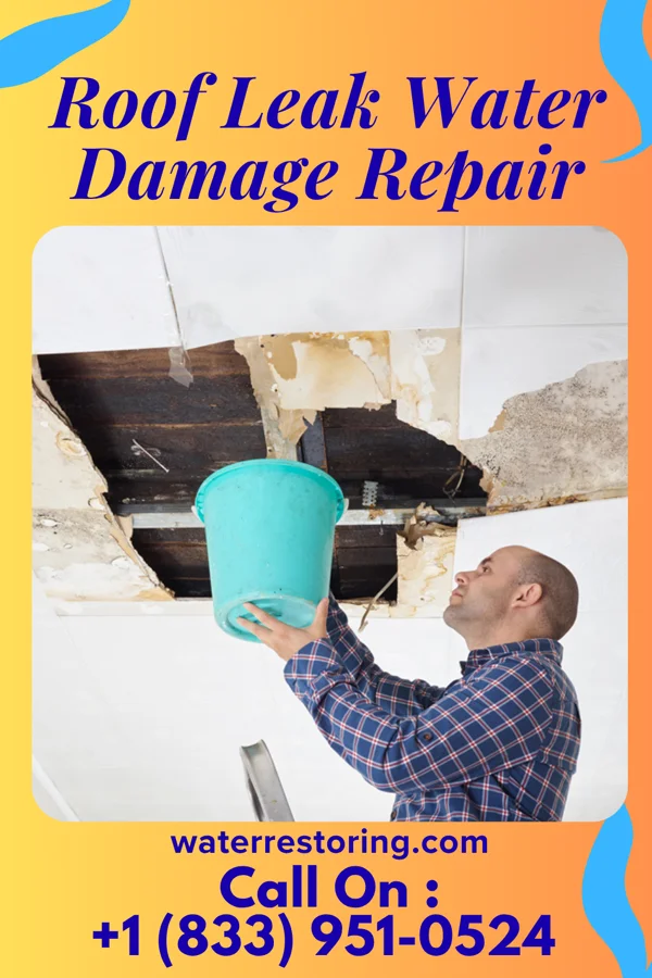 Roof Leak Water Damage Repair in Sun Valley, PA