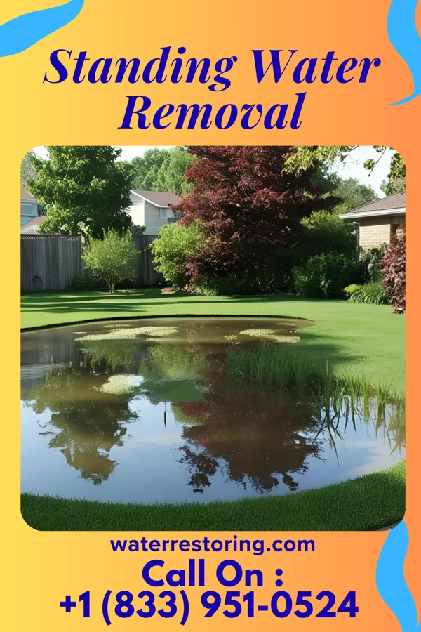 Standing Water Removal in Sun Valley, PA
